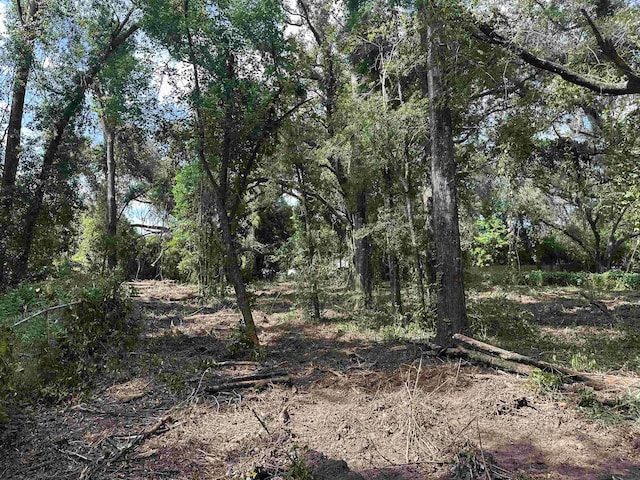 0 Longhorn Dr, Tallahassee, FL 32311 - photo 20