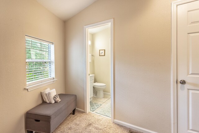 bathroom featuring toilet and lofted ceiling