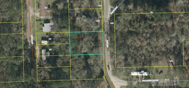 SW Main St, Greenville, FL 32331 - photo 5