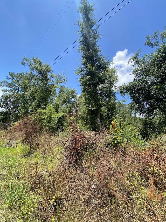 SW Main St, Greenville, FL 32331 - photo 10