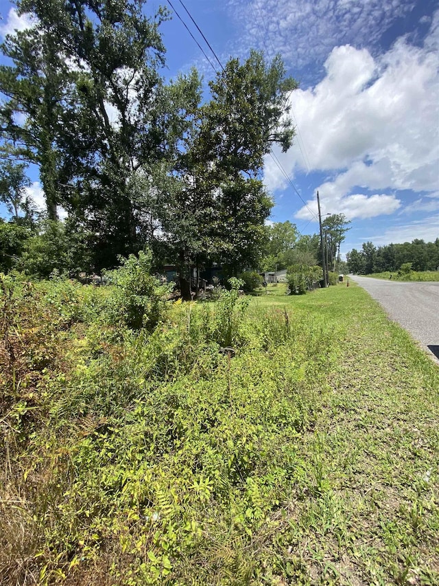 SW Main St, Greenville, FL 32331 - photo 2