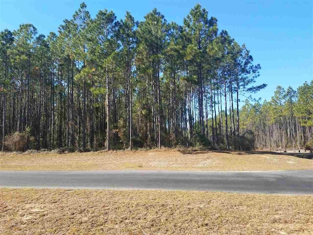 6991 Ranch Club Rd, Leon, FL 32305 - photo 1
