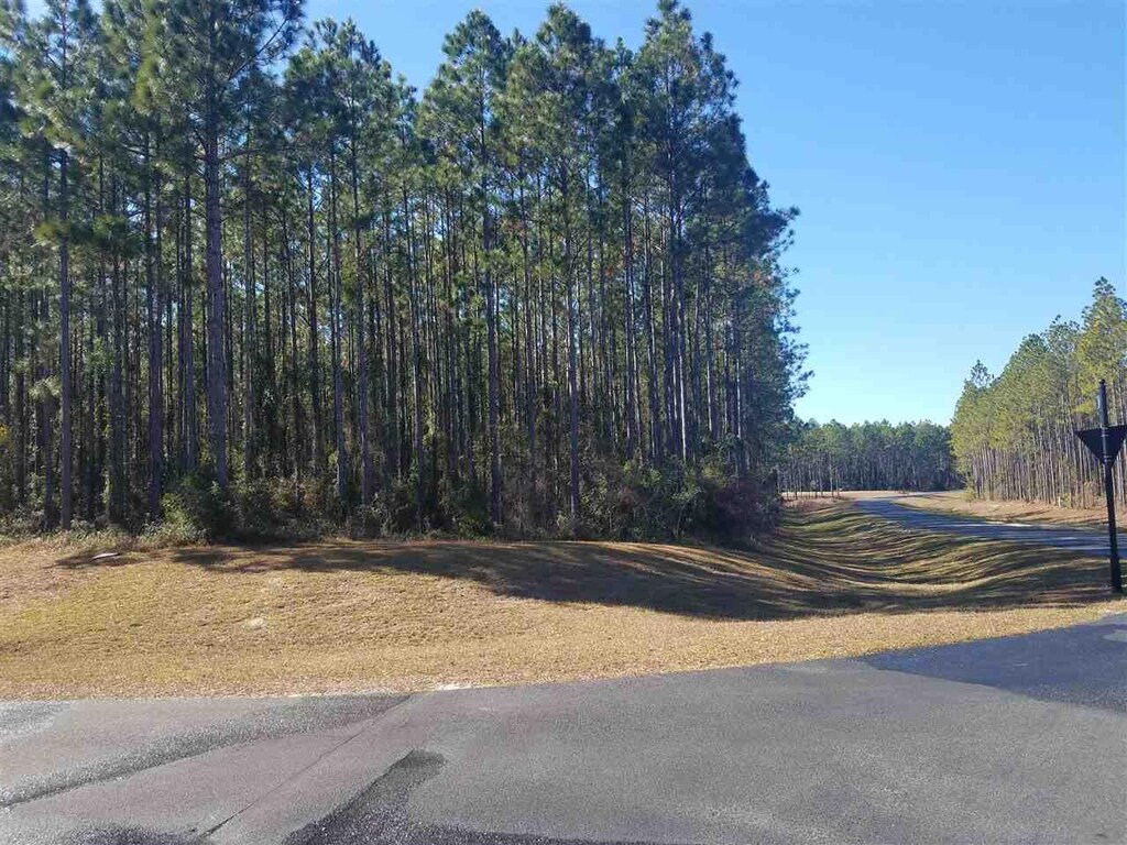 6991 Ranch Club Rd, Leon, FL 32305 - photo 2