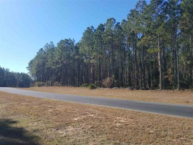 6991 Ranch Club Rd, Leon, FL 32305 - photo 4