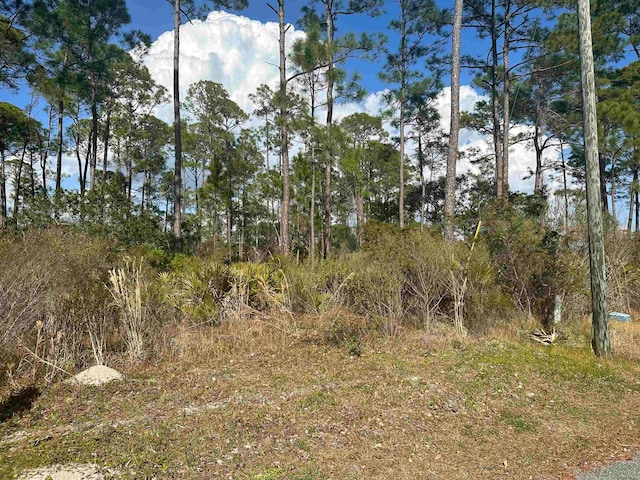 Listing photo 2 for XX Surf Road/ -, Unit Panacea FL 32346