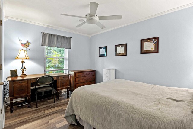 3620 Barbary Dr, Tallahassee, FL 32309 - photo 20