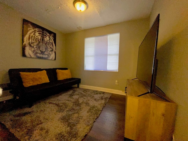 living room featuring hardwood / wood-style floors