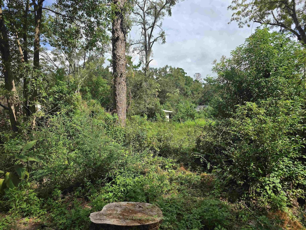1209 Tampa Dr, Tallahassee, FL 32311 - photo 4