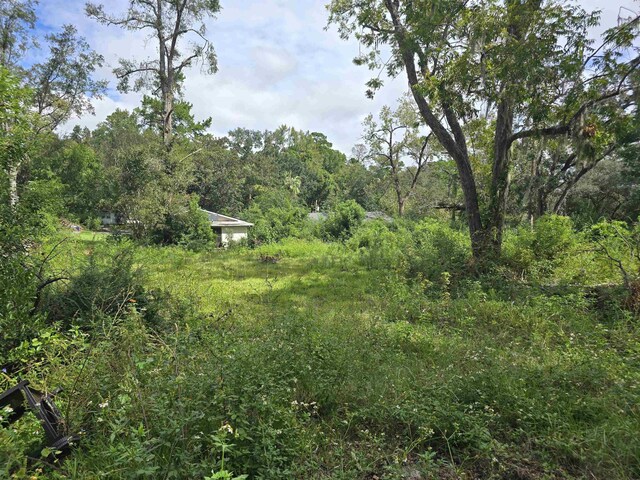 1209 Tampa Dr, Tallahassee, FL 32311 - photo 3