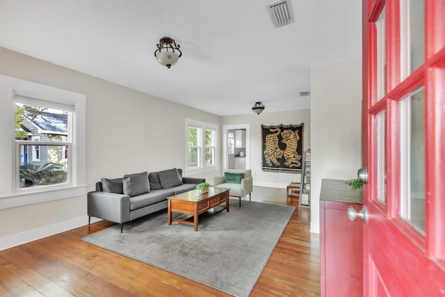 living room featuring hardwood / wood-style floors