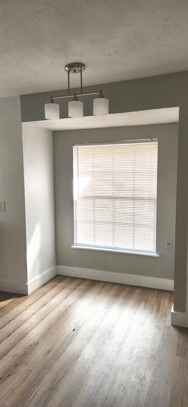 interior space featuring hardwood / wood-style floors and a wealth of natural light