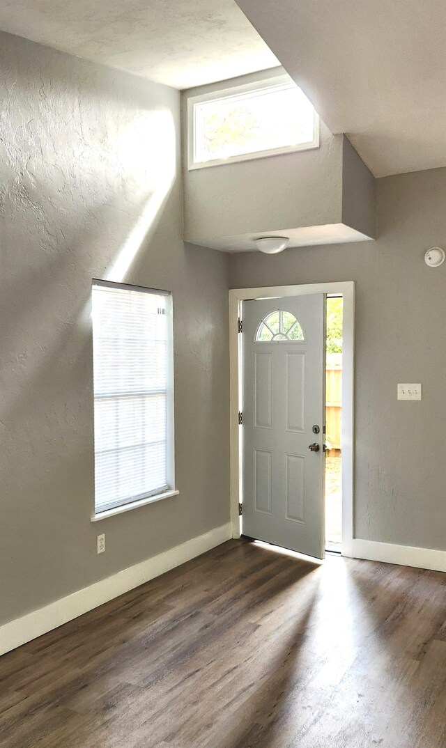 entrance foyer with dark hardwood / wood-style floors and plenty of natural light