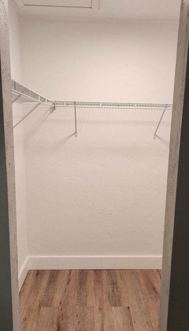 spacious closet with light wood-type flooring