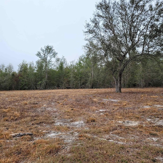 SE Parliament Trl, Lee FL, 32059 land for sale