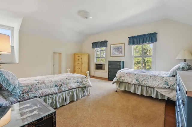 1118 W Green St, Perry, FL 32347 - bedroom featuring lofted ceiling, multiple windows, and wood finished floors