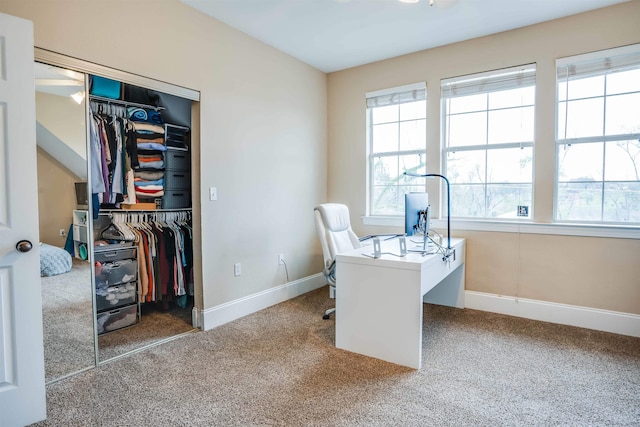 415 Saint Francis St Unit 133, Tallahassee, FL 32301 - office featuring carpet floors and baseboards