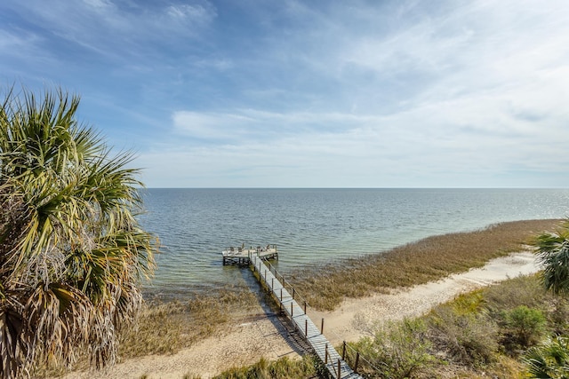 water view featuring a boat dock