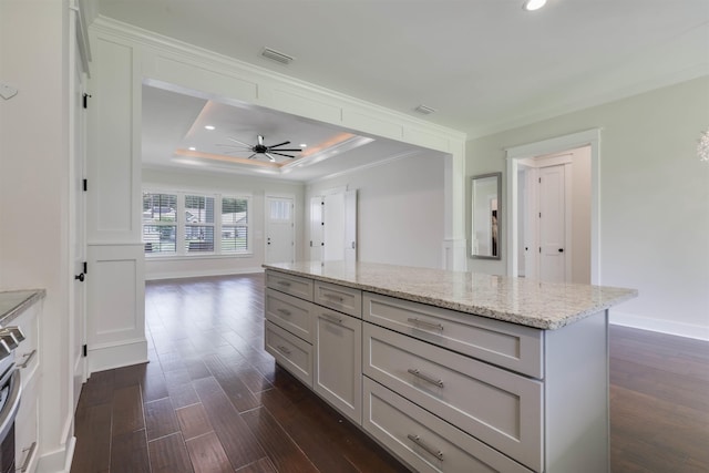 834 Piney Village Loop, Tallahassee, FL 32311 - kitchen with a raised ceiling, dark wood-style floors, a ceiling fan, recessed lighting, and baseboards