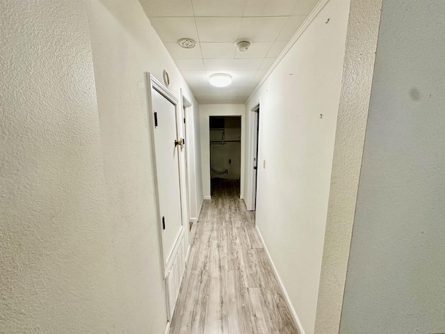 240 Kenmore Rd Fl, Pensacola, FL 32503 - photo 8