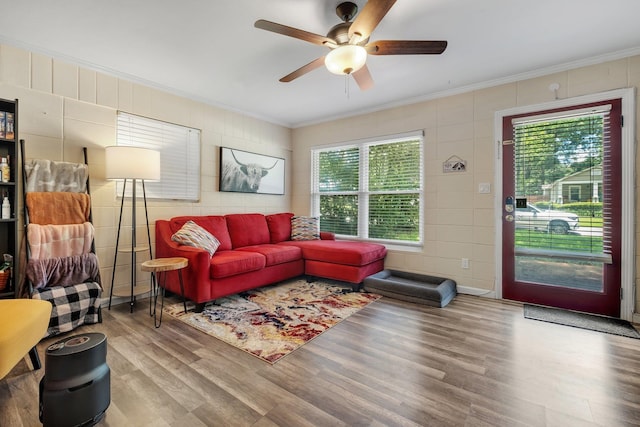 1517 Branch St, Tallahassee, FL 32303 - photo 5