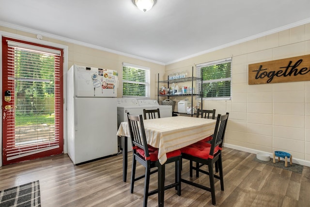 1517 Branch St, Tallahassee, FL 32303 - photo 11