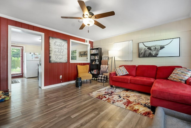 1517 Branch St, Tallahassee, FL 32303 - photo 4