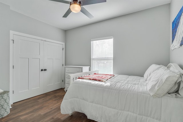 bedroom featuring a closet, ceiling fan, and dark hardwood / wood-style flooring