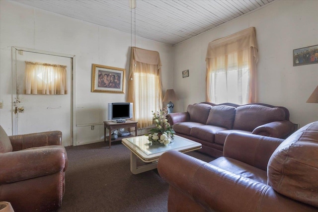 143 Washington Ave, Havana, FL 32333 - living area featuring carpet and wood ceiling