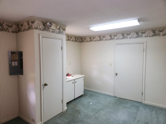 clothes washing area with carpet flooring and electric panel