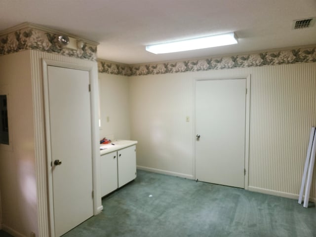 laundry area featuring carpet floors