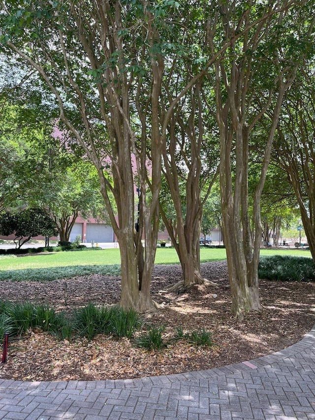 215 W College Ave Unit 511, Tallahassee, FL 32301 - view of grassy yard