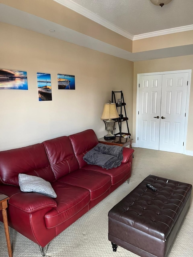 215 W College Ave Unit 511, Tallahassee, FL 32301 - carpeted living room with crown molding