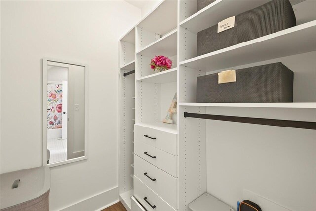 4640 Grove Park Dr, Tallahassee, FL 32311 - view of walk in closet