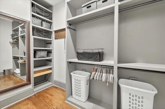 4640 Grove Park Dr, Tallahassee, FL 32311 - walk in closet with light wood-style flooring