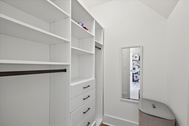 4640 Grove Park Dr, Tallahassee, FL 32311 - view of walk in closet