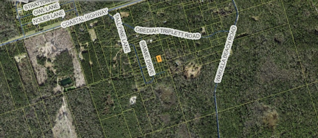 Listing photo 2 for LOT4 Keerns Dr, Crawfordville FL 32327