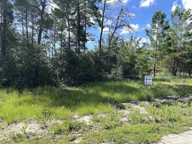 106 Lake Pristine Cir, Carrabelle, FL 32322 - photo 10