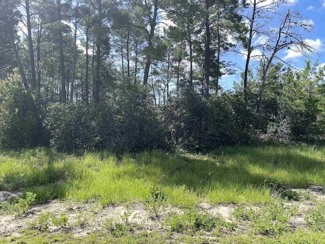 106 Lake Pristine Cir, Carrabelle, FL 32322 - photo 9