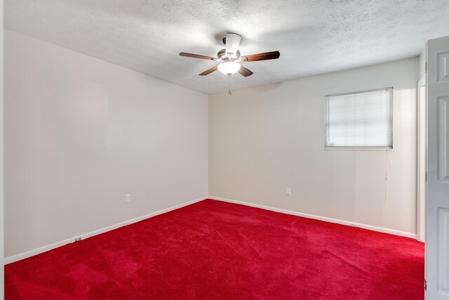 2830 Penn Ave, Marianna, FL 32448 - photo 29
