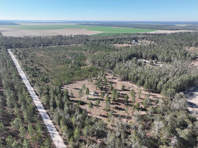 VACANT NE Mango Ave, Lee, FL 32059 - photo 3
