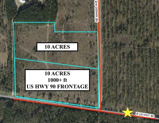 VACANT NE Mango Ave, Lee, FL 32059 - photo 1