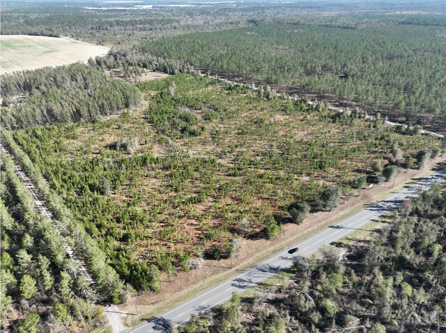 VACANT NE Mango Ave, Lee, FL 32059 - photo 2