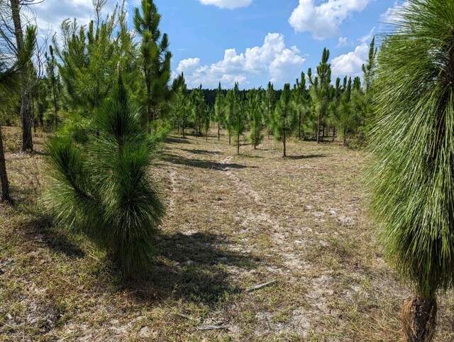 VACANT NE Mango Ave, Lee, FL 32059 - photo 5