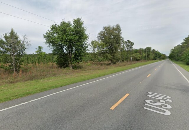 VACANT NE Mango Ave, Lee, FL 32059 - photo 7