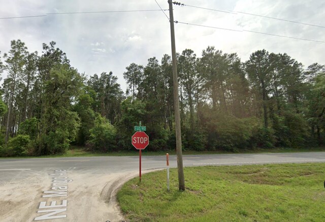 VACANT NE Mango Ave, Lee, FL 32059 - photo 11