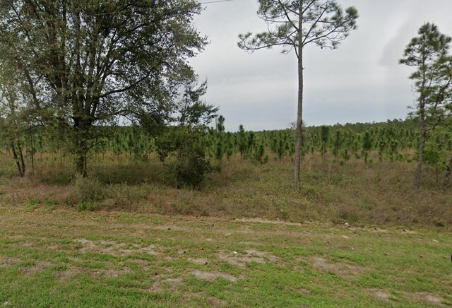 VACANT NE Mango Ave, Lee, FL 32059 - photo 8