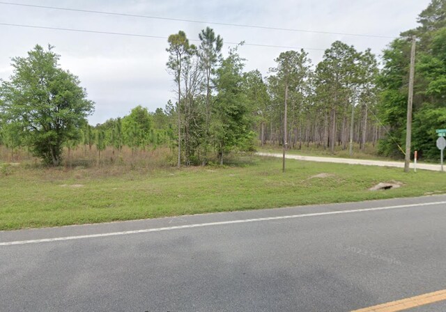 VACANT NE Mango Ave, Lee, FL 32059 - photo 10