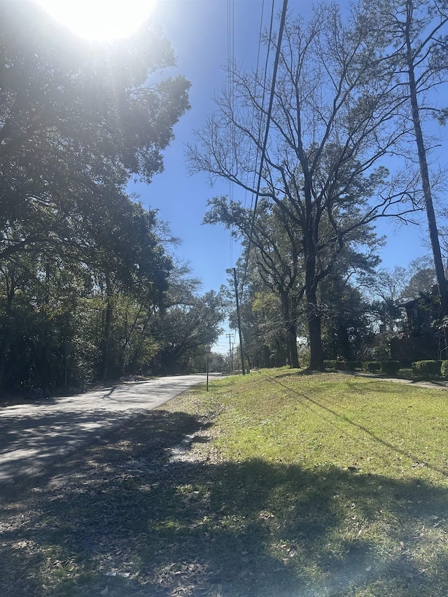 214 Belmont Rd, Tallahassee, FL 32301 - view of road