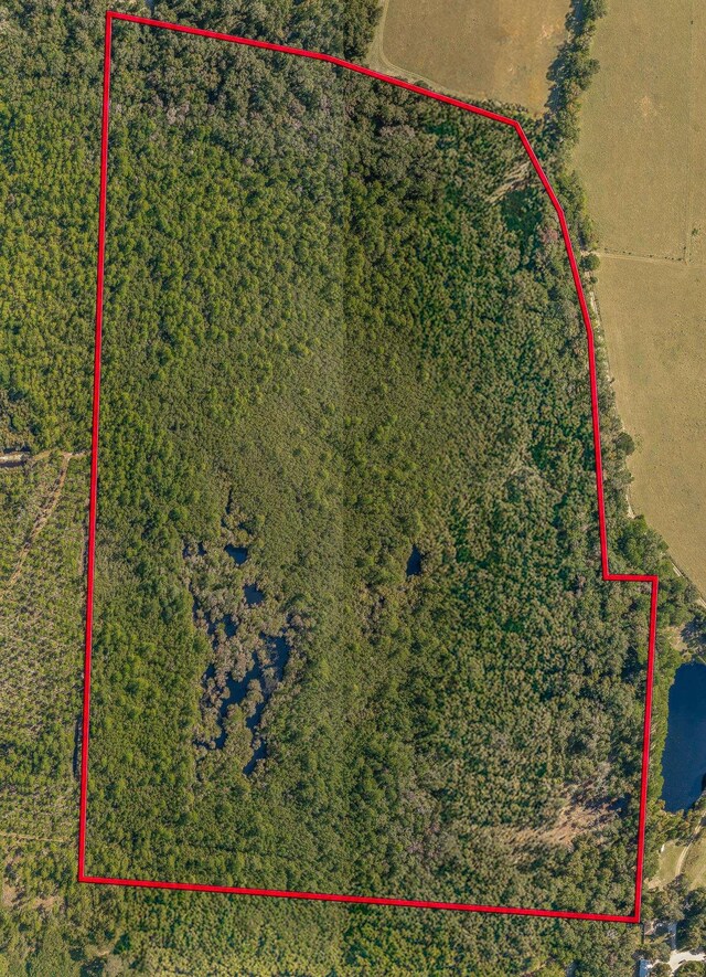 00 Paulette, Crawfordville, FL 32327 - photo 12