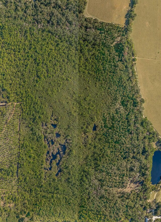 00 Paulette, Crawfordville, FL 32327 - photo 13